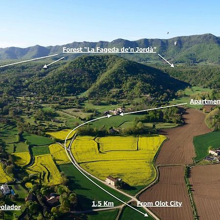 Apartamento "El Lila" - Parking Incluido Olot Exteriör bild