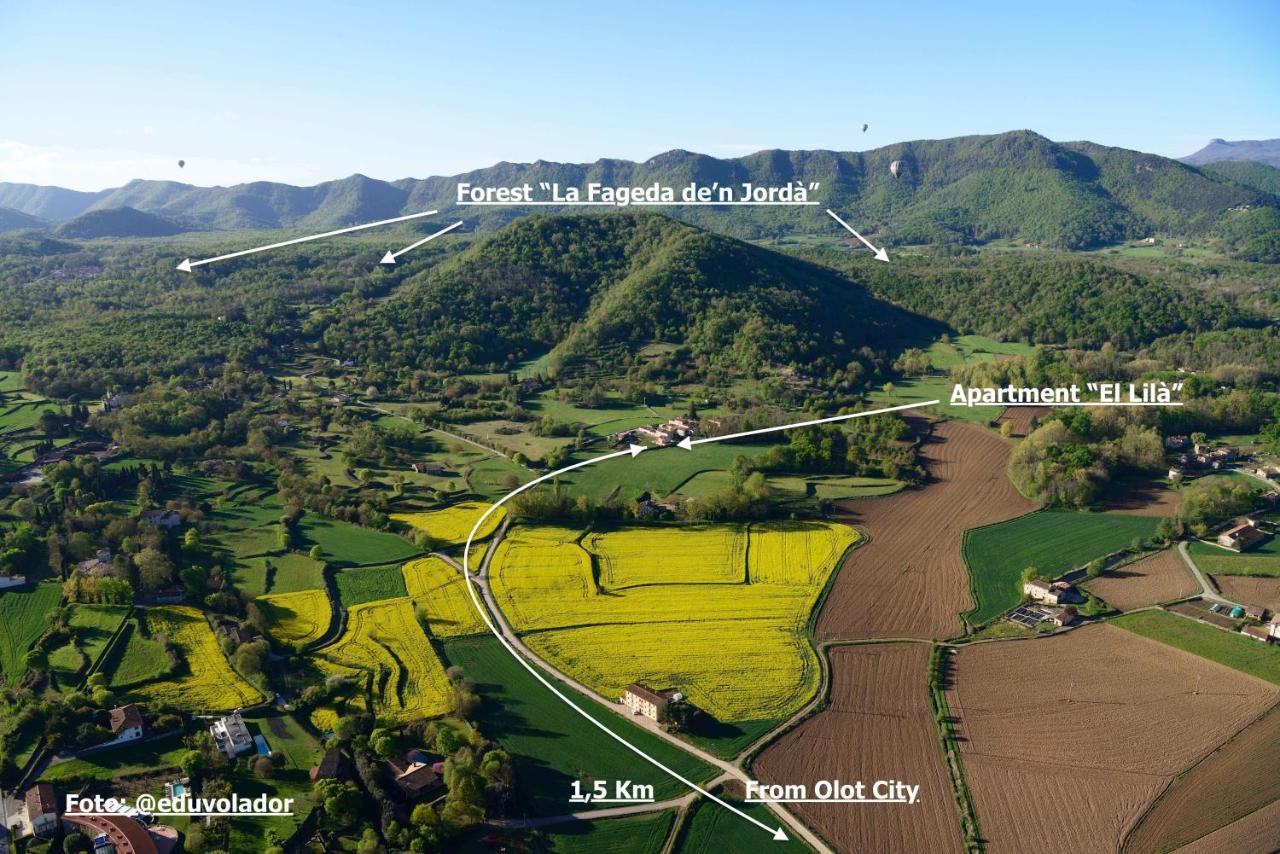 Apartamento "El Lila" - Parking Incluido Olot Exteriör bild
